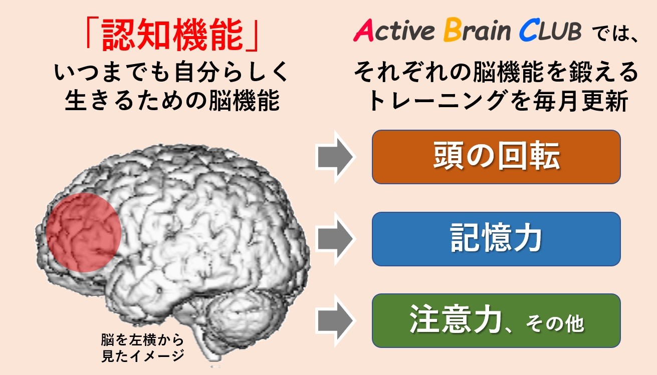 認知機能