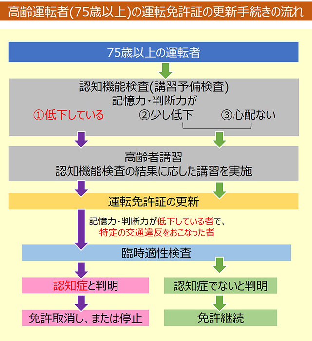 高齢運転者（75歳以上）の運転免許証の更新手続きの流れ図