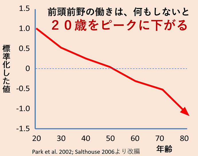 前頭前野働きに関するグラフの画像