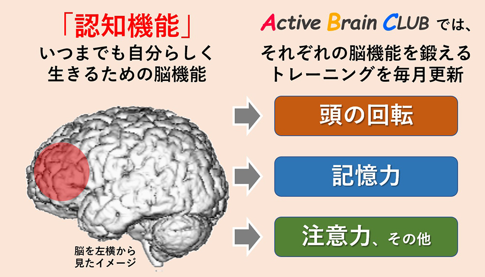 Active Brain CLUBではそれぞれの脳機能を鍛えるトレーニングを毎月更新